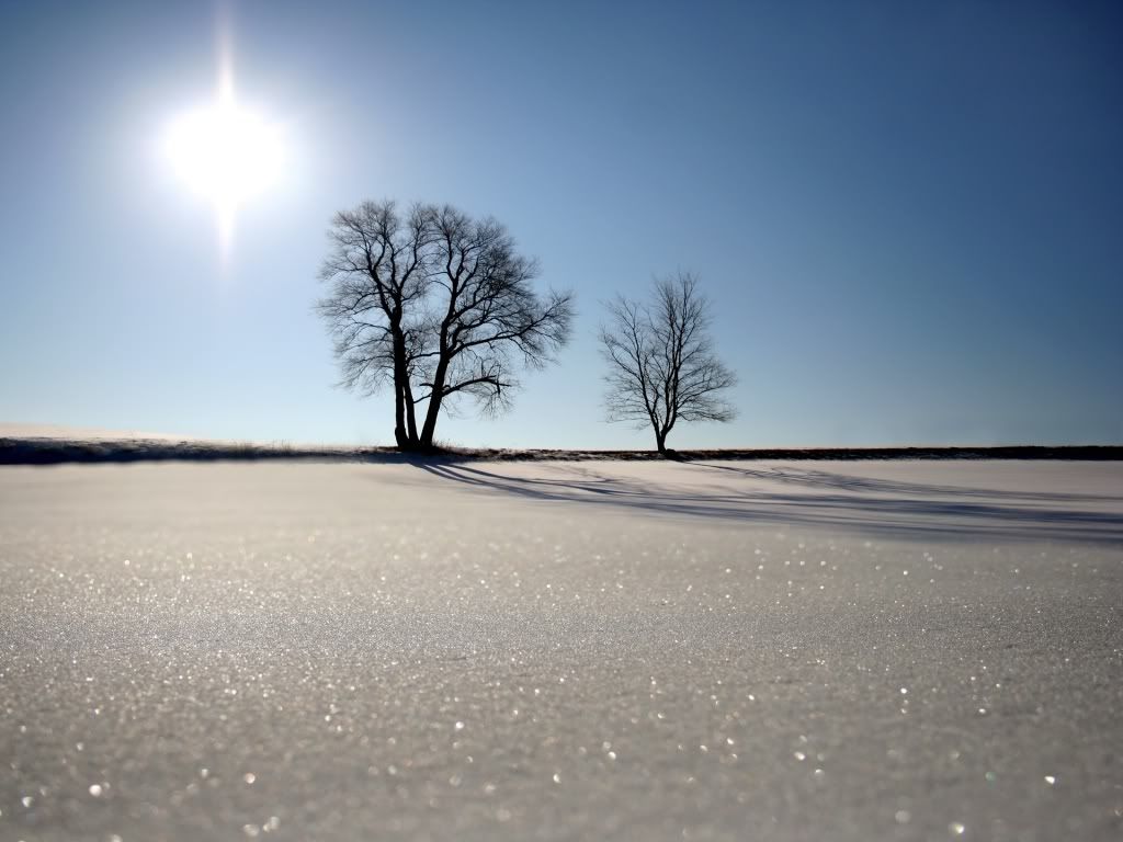 sun_over_snow-1024x768.jpg
