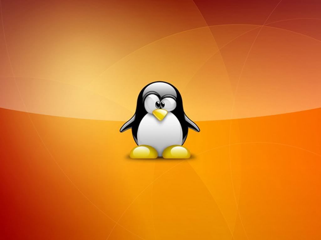 super_tux_wallpaper_linux-1024x768.jpg