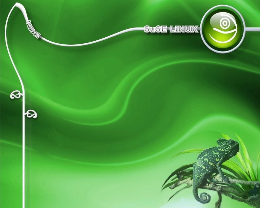 suse-linux-other-6613.jpg