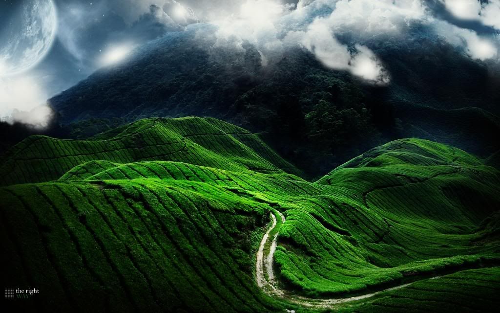 the_right_way_by_shilk.jpg