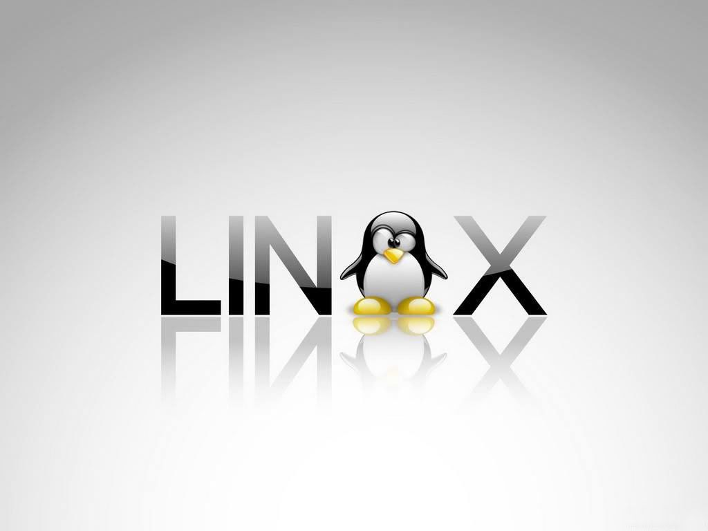 tux_linux_wallpapers_free_desktop_with_the_penguin_wallpaper-1024x768.jpg