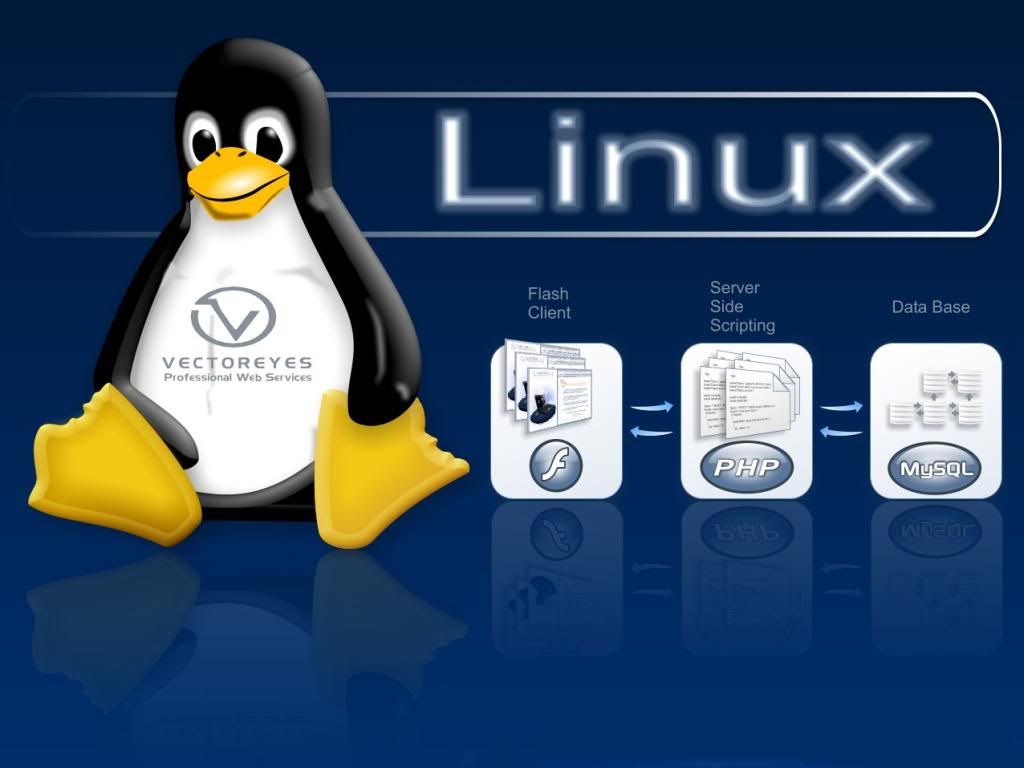 vectoreyes-linux-wallpaper.jpg