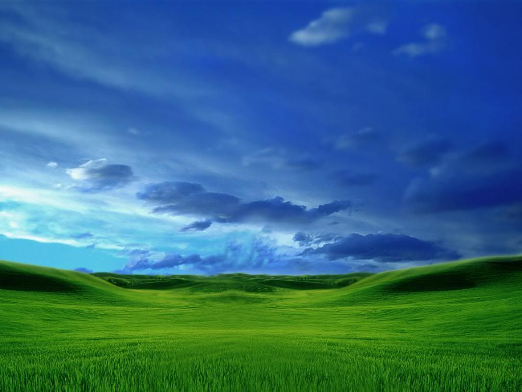 Grassy.jpg