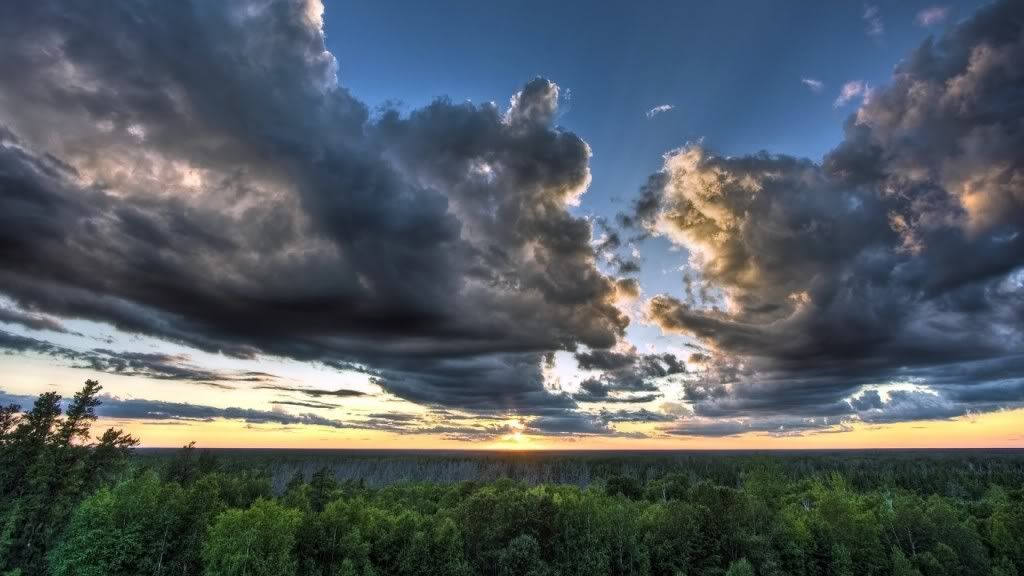 Nature-Wallpaper-1-1024x576.jpg