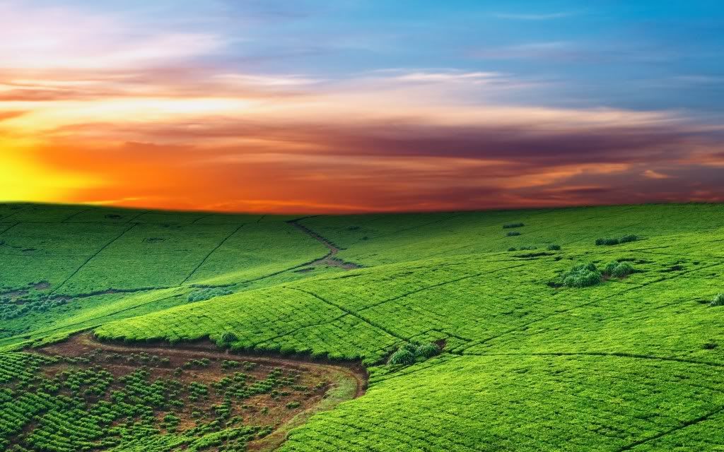 Nature-Wallpaper-10-1024x640.jpg