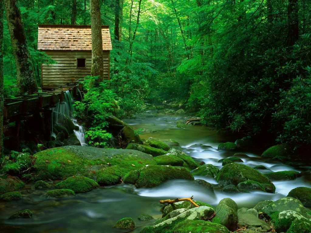 Nature-Wallpaper-13-1024x768.jpg