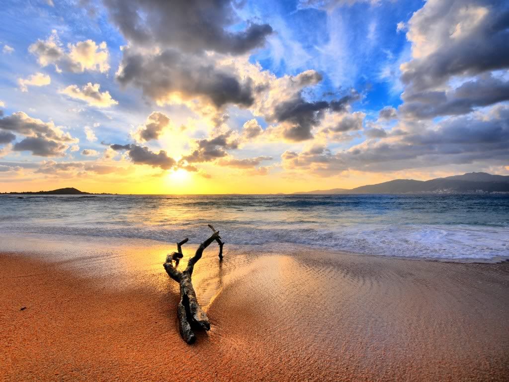 Nature-Wallpaper-14-1024x768.jpg