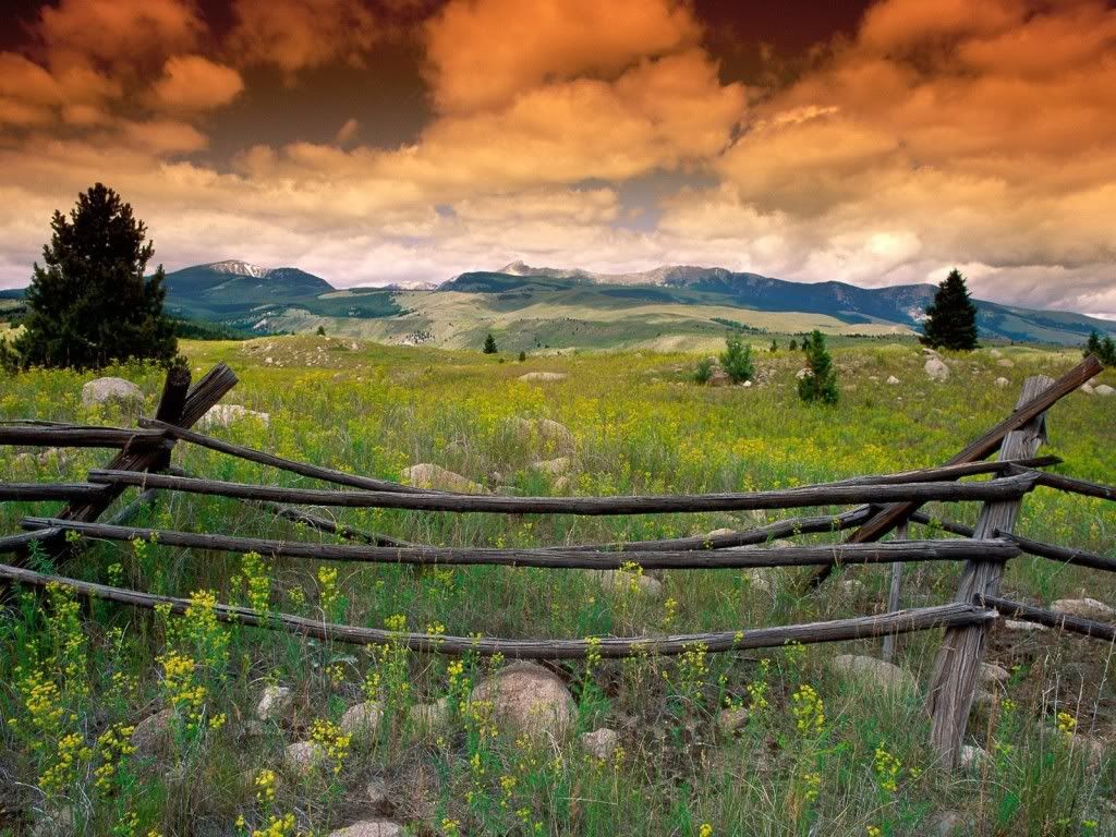 Nature-Wallpaper-16-1024x768.jpg