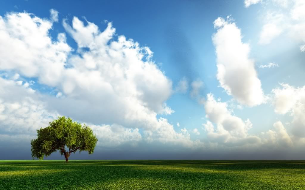 Nature-Wallpaper-18-1024x640.jpg