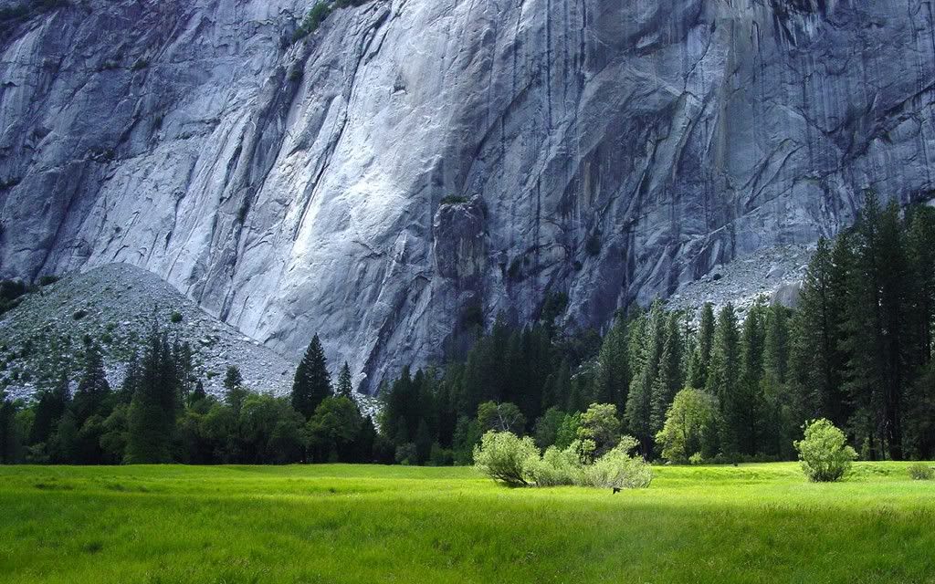 Nature-Wallpaper-20-1024x640.jpg