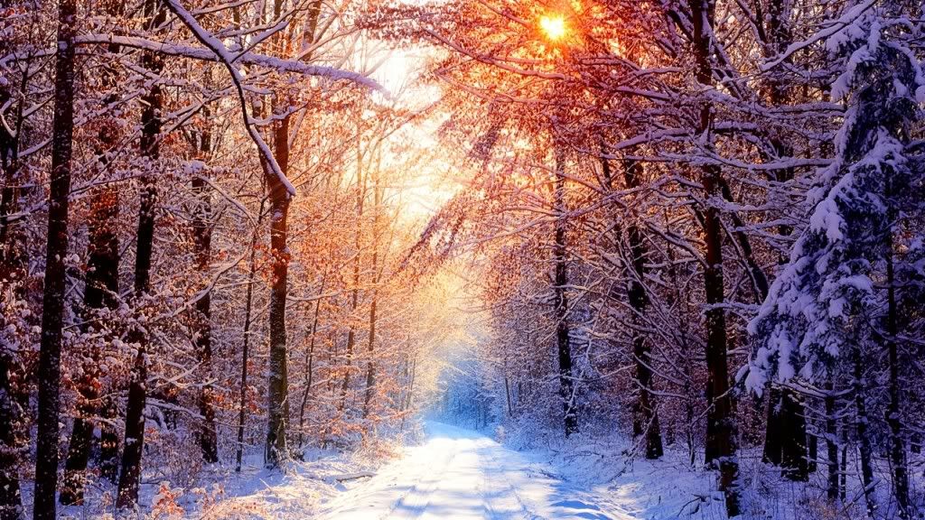 Nature-Wallpaper-22-1024x576.jpg