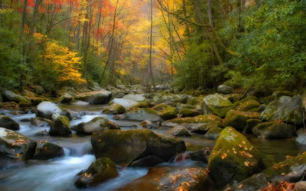 Nature-Wallpaper-24-1024x640.jpg