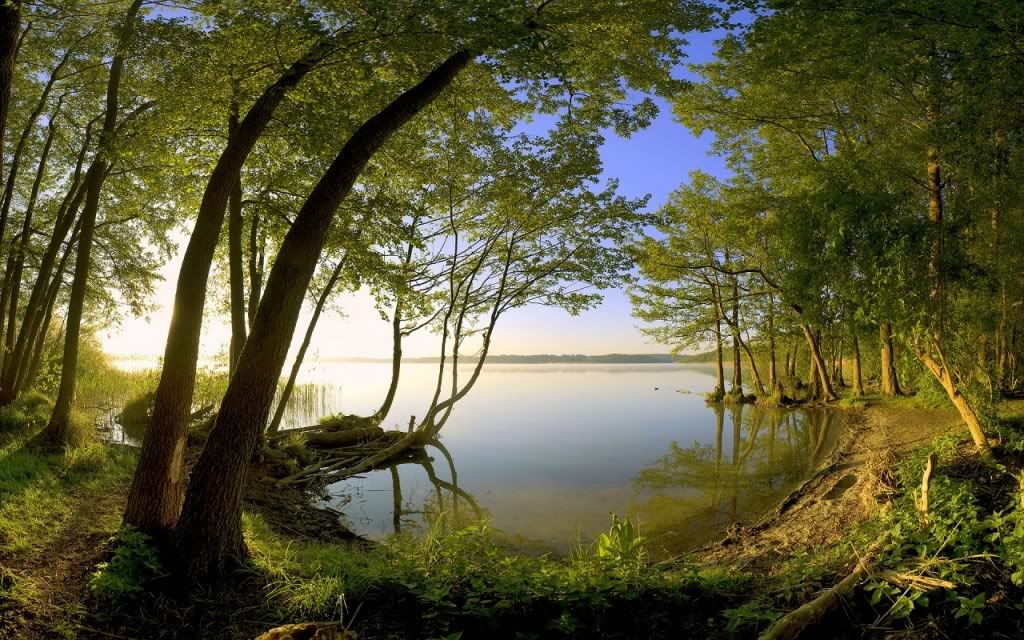 Nature-Wallpaper-4-1024x640.jpg