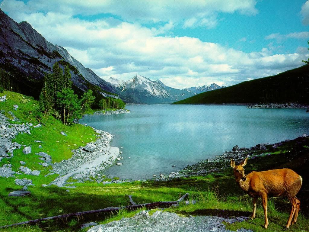 Nature-Wallpaper-9.jpg