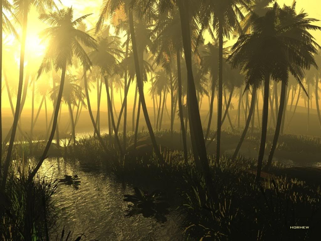 Oasis.jpg