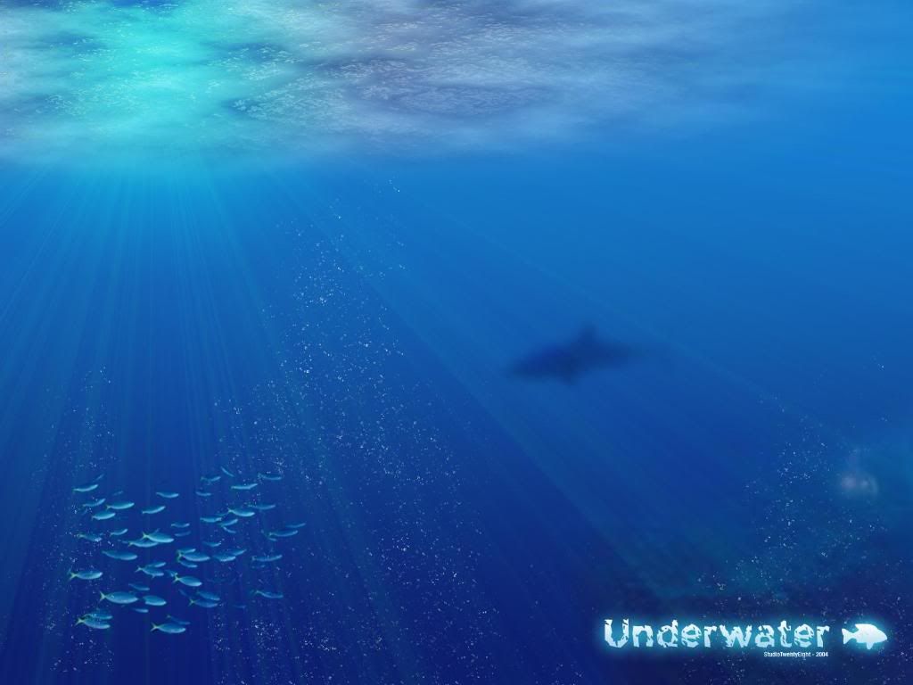 Underwater.jpg