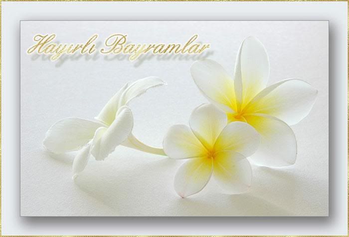 bayram10092vq3iz1.jpg