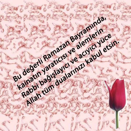 bayram3bc2.jpg