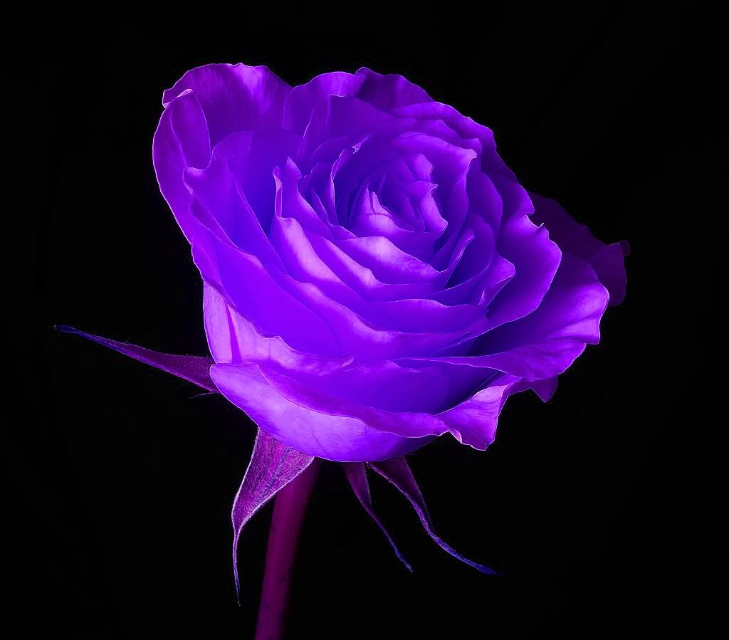 wallpaper_12178.jpg