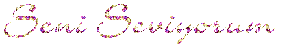 wv6cde.gif