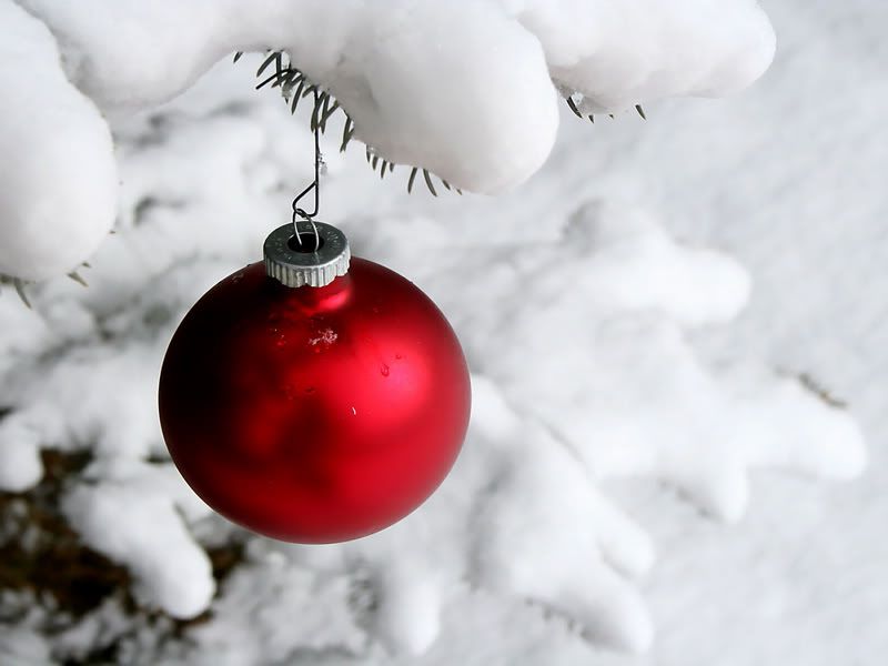 xmas0001lightbox.jpg
