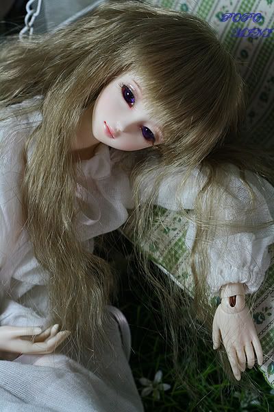 แอมเม่