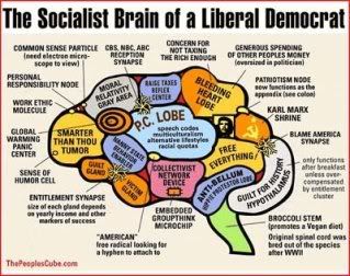 Socialist_Brain_of_a_Liberal_Democr.jpg