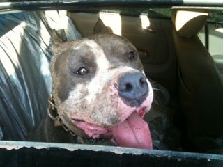 IMG_1145_zpsfba2911e.jpeg