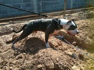 IMG_1804_zpsdf840ca4.jpeg