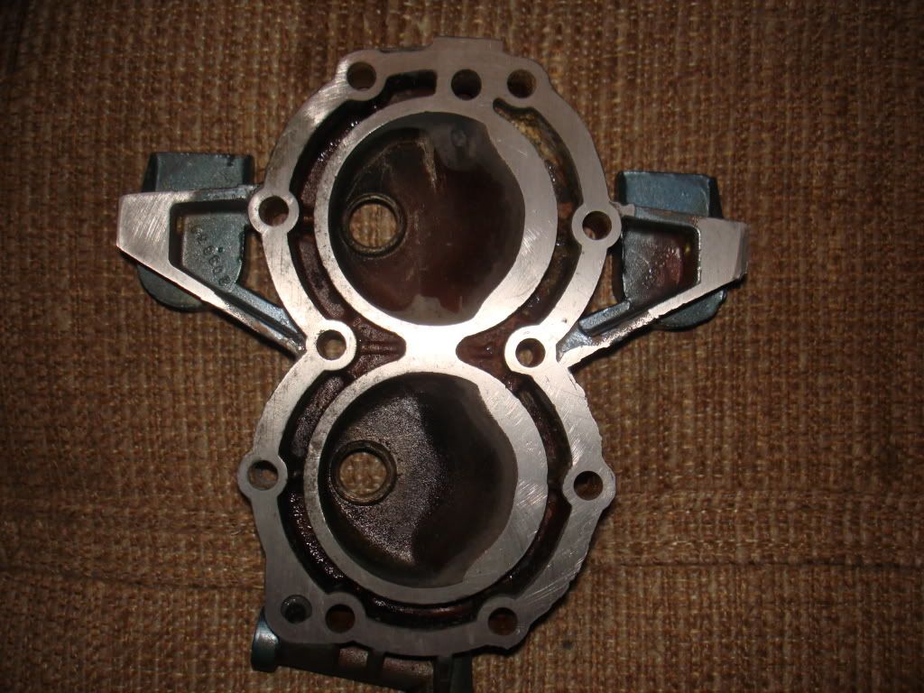 Evinrudefleetwin75006-1.jpg