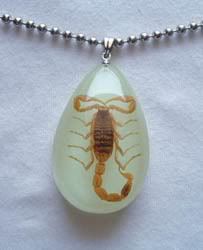 jew11?t1304672319 - real insects  jewelery