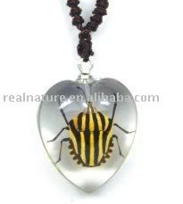 jew3?t1304672428 - real insects  jewelery