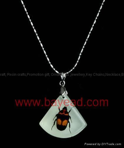 jew4?t1304672425 - real insects  jewelery