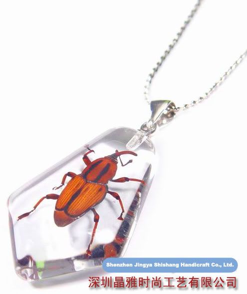 jew6?t1304672327 - real insects  jewelery