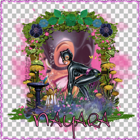  photo na_zps1120d9fa.gif