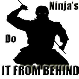 Ninja`s From Behind