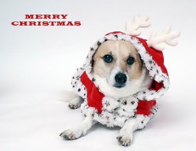 merrychristmascopy.jpg merry christmas image by jimmyolo