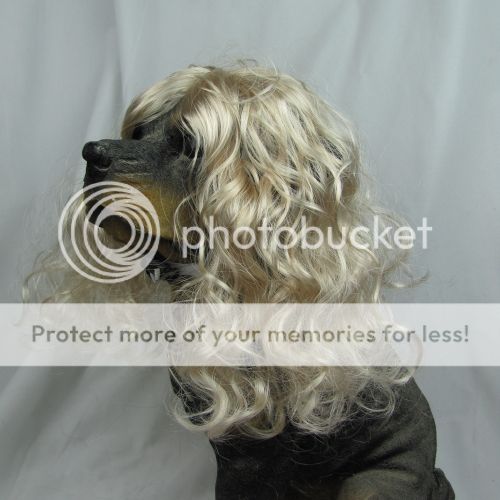 PW 12 Blonde wavy Pet dog cat wig wigs small size lovely animal wigs 