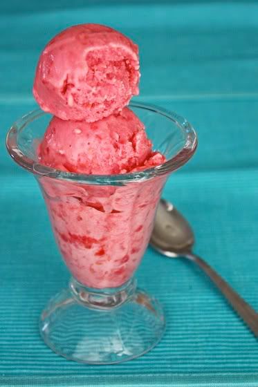raspberry frozen yogurt 1