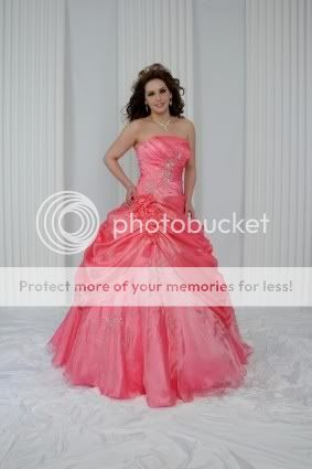 Strapless Contoured Embroidery Ball Gowns Quinceanera/Wedding dresses 