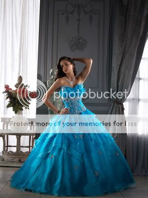 Layered Embroidery Organza Ball Gowns Quinceanera/Wedding/Prom dresses 